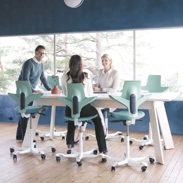 HAG Capisco Puls 8020 seagreen